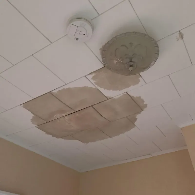 Ceiling Water Damage Repair in Itawamba County, MS