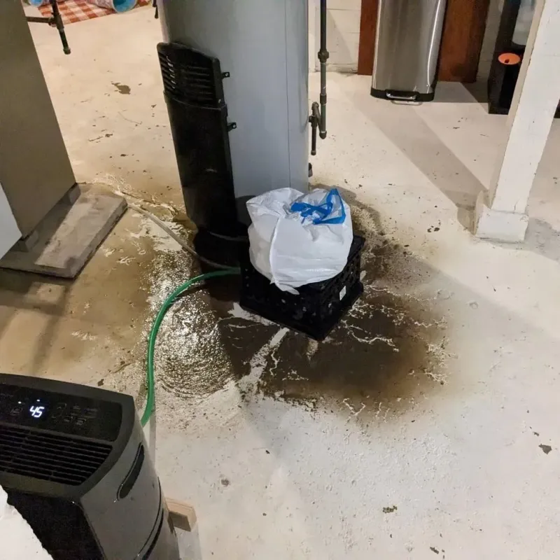 Sewage Backup Cleanup Service in Itawamba County, MS